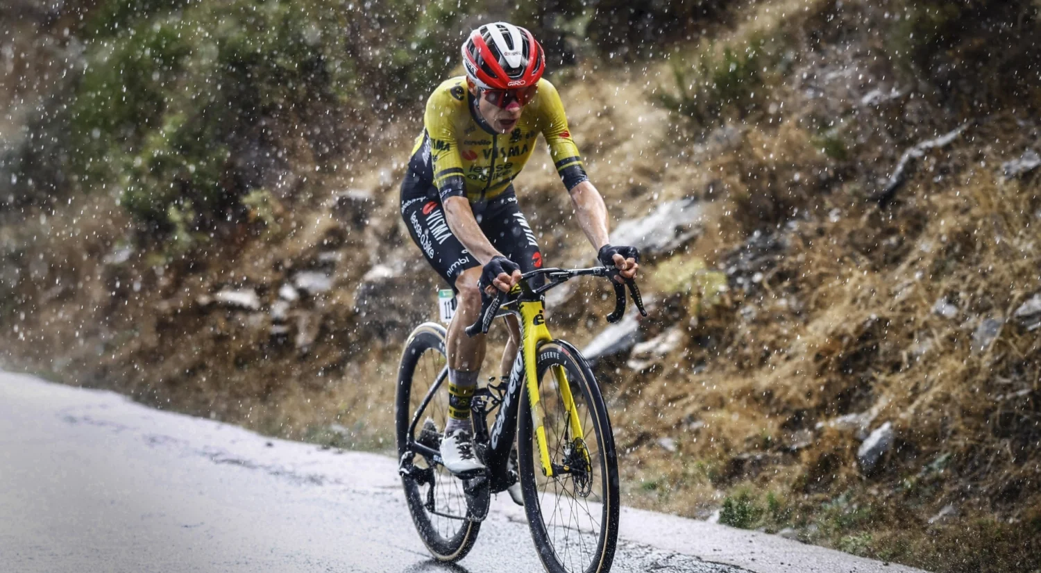 le jonas CORVOS 00038316 076 2025 09 01 095159 kdhn